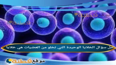 الخلايا الوحيدة التي تخلو من العضيات هي خلايا