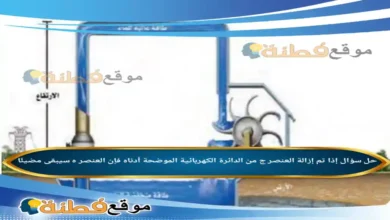 إذا تم إزالة العنصر ج من الدائرة الكهربائية الموضحة أدناه فإن العنصر ه سيبقى مضيئًا.