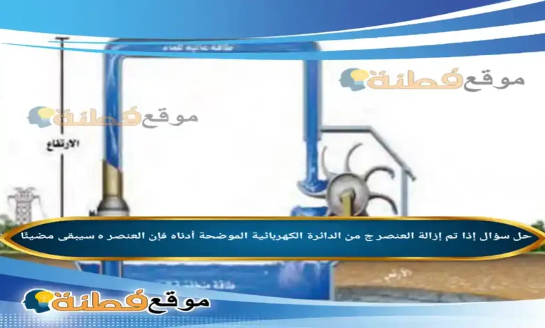 إذا تم إزالة العنصر ج من الدائرة الكهربائية الموضحة أدناه فإن العنصر ه سيبقى مضيئًا.