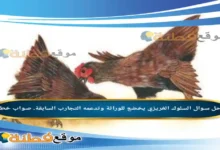 السلوك الغريزي يخضع للوراثة وتدعمه التجارب السابقة. صواب خطأ