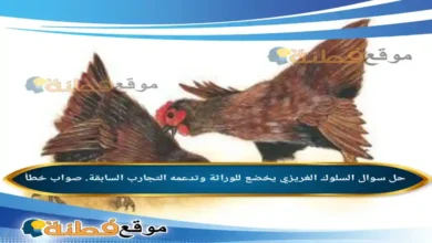 السلوك الغريزي يخضع للوراثة وتدعمه التجارب السابقة. صواب خطأ