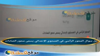المحور الرأسي في المستوى الإحداثي يسمى محور الصادات