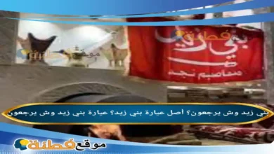 عيارة بني زيد؟ بني زيد وش يرجعون؟ أصل عيارة بني زيد