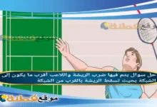 يتم فيها ضرب الريشة واللاعب أقرب ما يكون إلى الشبكة بحيث تسقط الريشة بالقرب من الشبكة