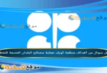 من أهداف منظمة أوبك حماية مصالح البلدان المنتجة للنفط
