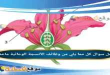 كل مما يلي من وظائف الأنسجة الوعائية ماعدا