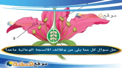 كل مما يلي من وظائف الأنسجة الوعائية ماعدا
