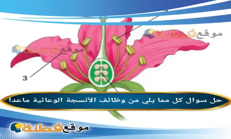 كل مما يلي من وظائف الأنسجة الوعائية ماعدا