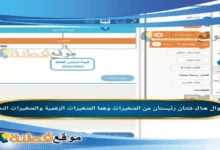 هناك فئتان رئيستان من المتغيرات وهما المتغيرات الرقمية والمتغيرات النصية.