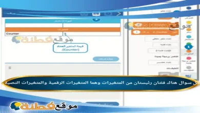 هناك فئتان رئيستان من المتغيرات وهما المتغيرات الرقمية والمتغيرات النصية.
