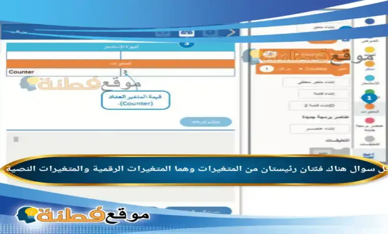 هناك فئتان رئيستان من المتغيرات وهما المتغيرات الرقمية والمتغيرات النصية.