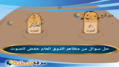 من مظاهر الذوق العام خفض الصوت