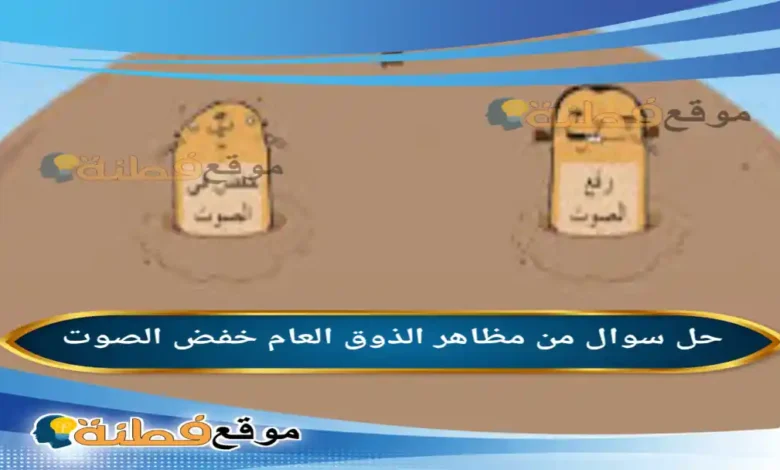 من مظاهر الذوق العام خفض الصوت