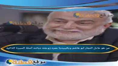 من هو عادل النجار ويكيبيديا مسيرة ابو هاشم محافظ الجيزة رجل المهام الصعبة