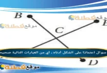 اعتمادًا على الشكل أدناه ، أي من العبارات التالية صحيحة
