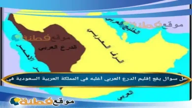حل سؤال يقع إقليم الدرع العربي أغلبه في المملكة العربية السعودية في