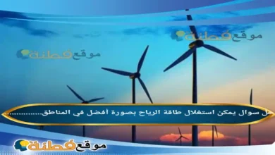 يمكن استغلال طاقة الرياح بصورة أفضل في المناطق................