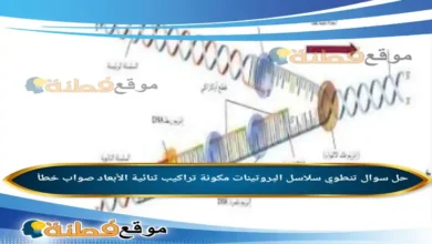 تنطوي سلاسل البروتينات مكونة تراكيب ثنائية الأبعاد صواب خطأ