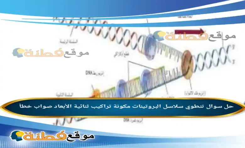 تنطوي سلاسل البروتينات مكونة تراكيب ثنائية الأبعاد صواب خطأ
