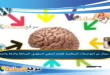 من المواصفات السطحية للفخار الشعبي السعودي، البساطة والدقة والجمال