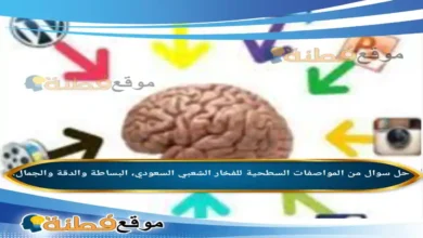 من المواصفات السطحية للفخار الشعبي السعودي، البساطة والدقة والجمال