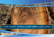 يتكون معظم الخشب واللحاء الجديد للنبات في