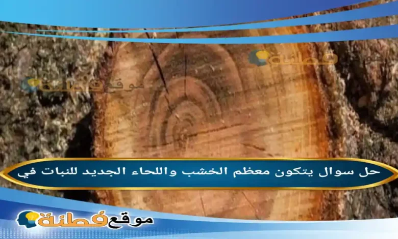 يتكون معظم الخشب واللحاء الجديد للنبات في