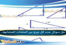 حدد كل زوج من المثلثات المتشابهة.