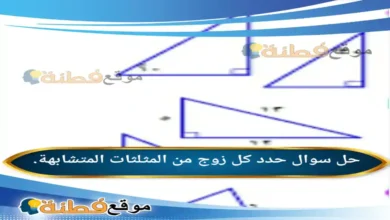 حدد كل زوج من المثلثات المتشابهة.