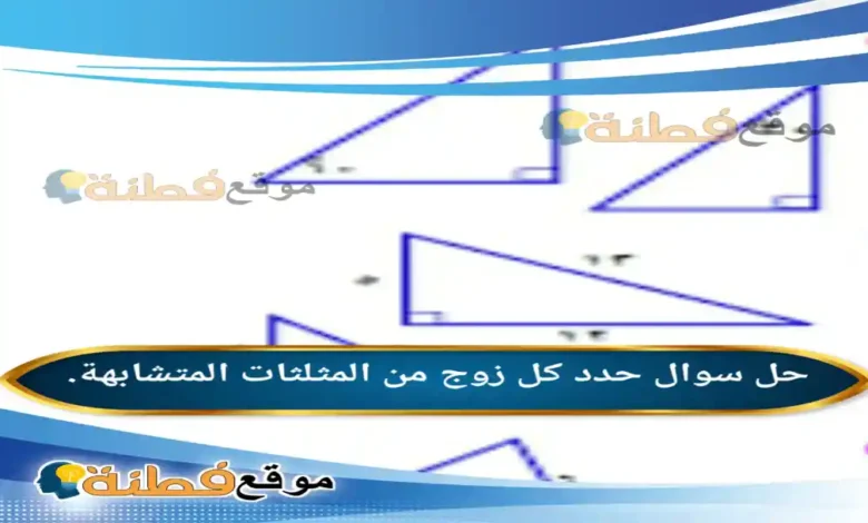 حدد كل زوج من المثلثات المتشابهة.