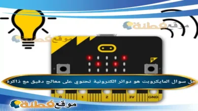المايكروبت هو دوائر الكترونية تحتوي على معالج دقيق مع ذاكرة