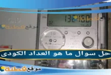 ما هو العداد الكودى