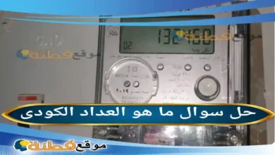 ما هو العداد الكودى