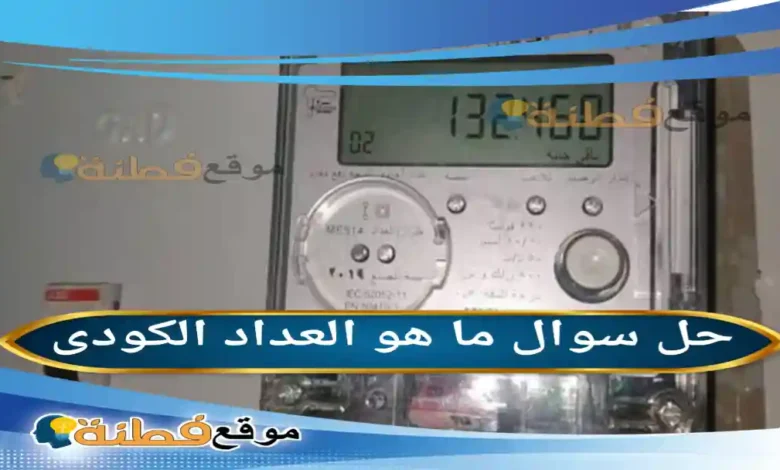 ما هو العداد الكودى