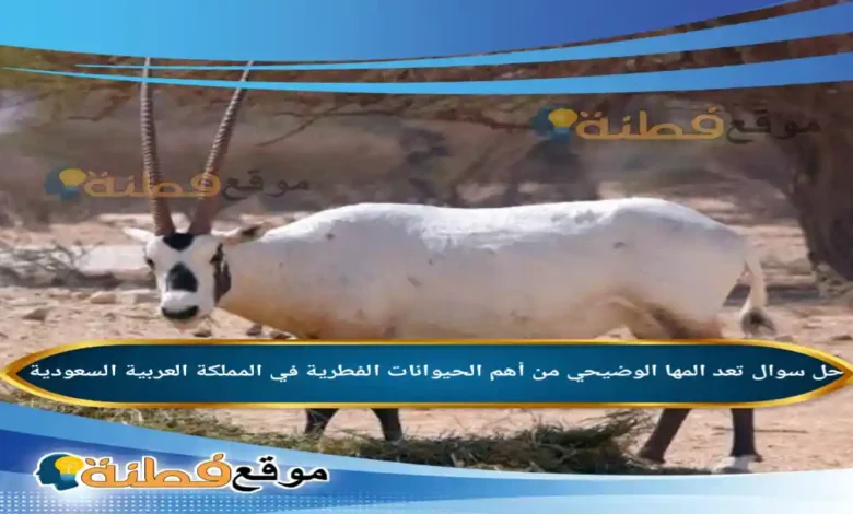 تعد المها الوضيحي من أهم الحيوانات الفطرية في المملكة العربية السعودية