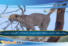 سلوك تحديد منطقة النفوذ هو من السلوكات الغريزية. صواب خطأ