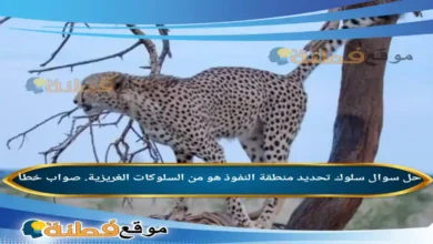 سلوك تحديد منطقة النفوذ هو من السلوكات الغريزية. صواب خطأ