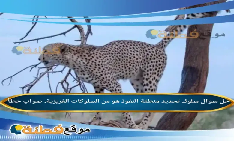 سلوك تحديد منطقة النفوذ هو من السلوكات الغريزية. صواب خطأ