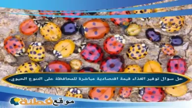توفير الغذاء قيمة اقتصادية مباشرة للمحافظة على التنوع الحيوي.