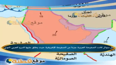 كانت الصفيحة العربية جزءًا من الصفيحة الإفريقية حيث يطلق عليها الدرع العربي النوبي