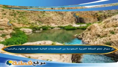 تخلو المملكة العربية السعودية من المسطحات المائية العذبة مثل الأنهار والبحيرات