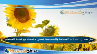 النباتات الحولية (الموسمية تنتهي وتموت مع نهاية الموسم.