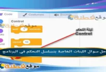 اللبنات الخاصة بتسلسل التحكم في البرنامج