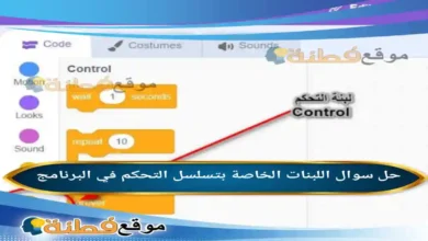 اللبنات الخاصة بتسلسل التحكم في البرنامج
