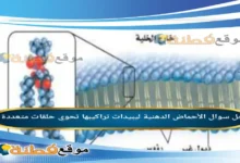 الأحماض الدهنية ليبيدات تراكيبها تحوي حلقات متعددة