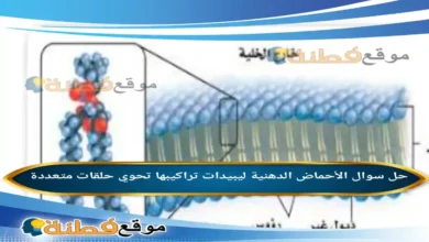 الأحماض الدهنية ليبيدات تراكيبها تحوي حلقات متعددة