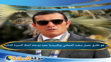 من هو طارق جميل سعيد المحامي ويكيبيديا أبرز المعلومات عنه