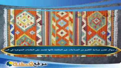تعتبر صناعة الكليم من الصناعات غير المكلفة؛ لأنها تعتمد على الخامات المتوفرة في البيئة
