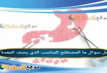 ما المصطلح المناسب الذي يصف المعدة؟