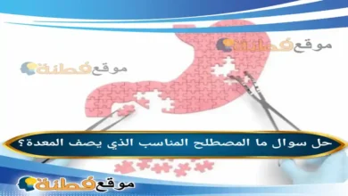 ما المصطلح المناسب الذي يصف المعدة؟